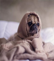 盘锦有这样的手机号码，留不住钱，你中枪了吗？