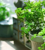 盘锦专属于你的开运指南，助你鸿运当头福满身！