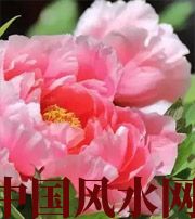 盘锦预示你财运上升，姻缘可成的梦境，快来看看吧！