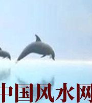 盘锦做梦梦到这些，是要富裕的征兆！